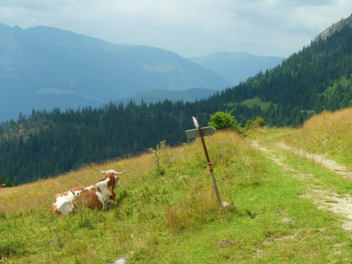 Rugova-mountains-Kosovo-b2c5657af3d4.jpg